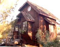 meerkat stands on its hind legs