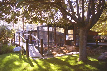 Shady picnic area